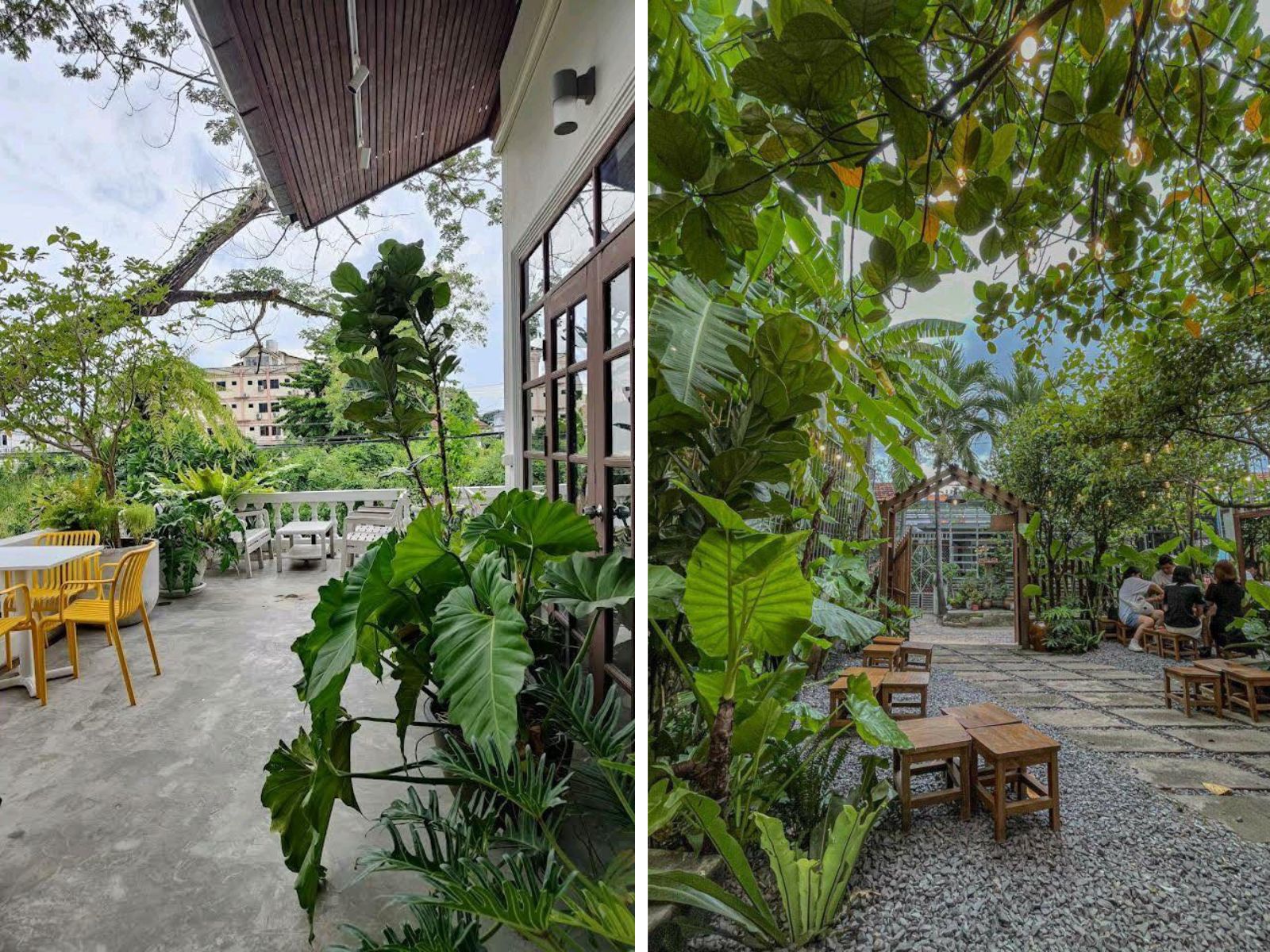 Cafe phong cách vườn nhiệt đới